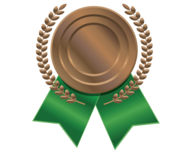 bronze medal