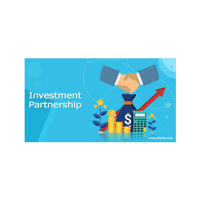 investment_partnership